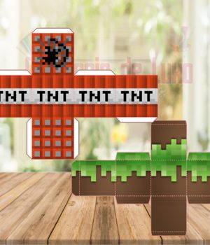 Caixa Minecraft